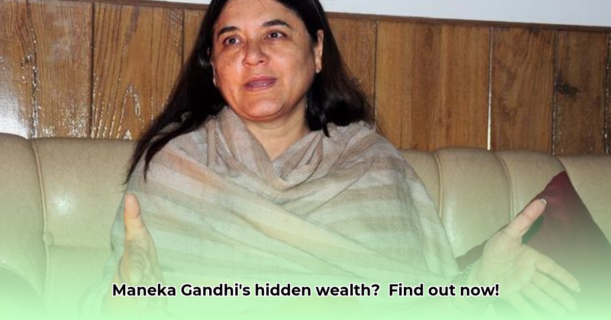 maneka-gandhi-net-worth